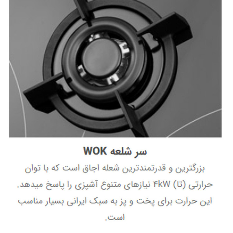 اجاق گاز صفحه ای استیل البرز مدل G-5954i